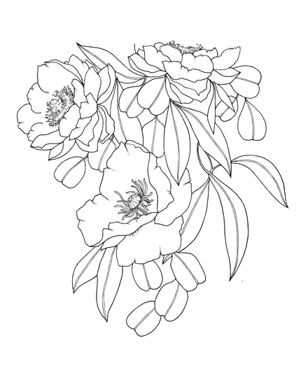 The Plant Lady: A Floral Adult Coloring Book | Fargeleggingsbok for Voksne