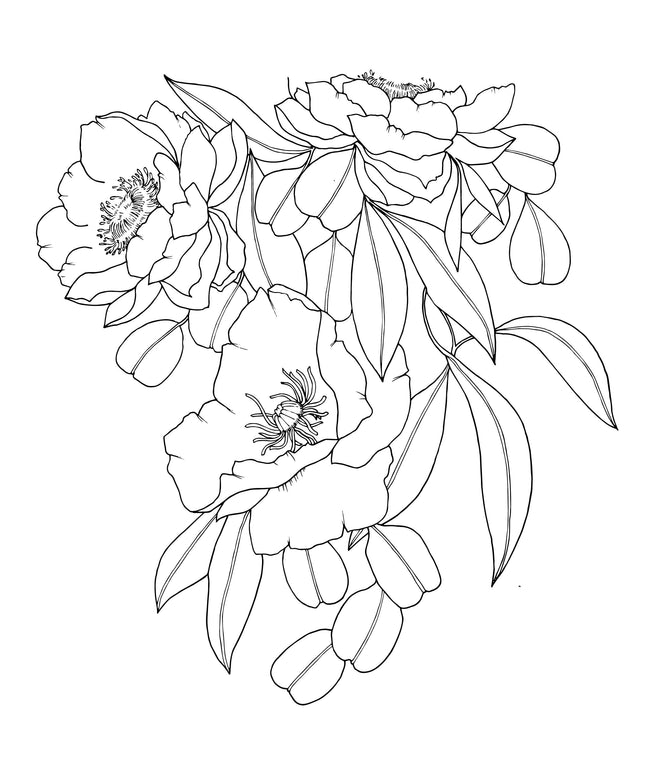 The Plant Lady: A Floral Adult Coloring Book | Fargeleggingsbok for Voksne