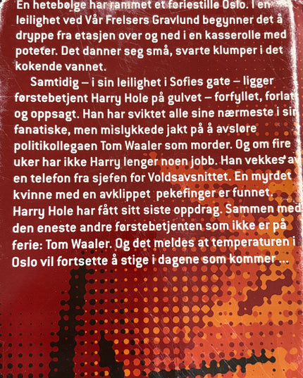 Marekors - Jo Nesbø (innbundet)