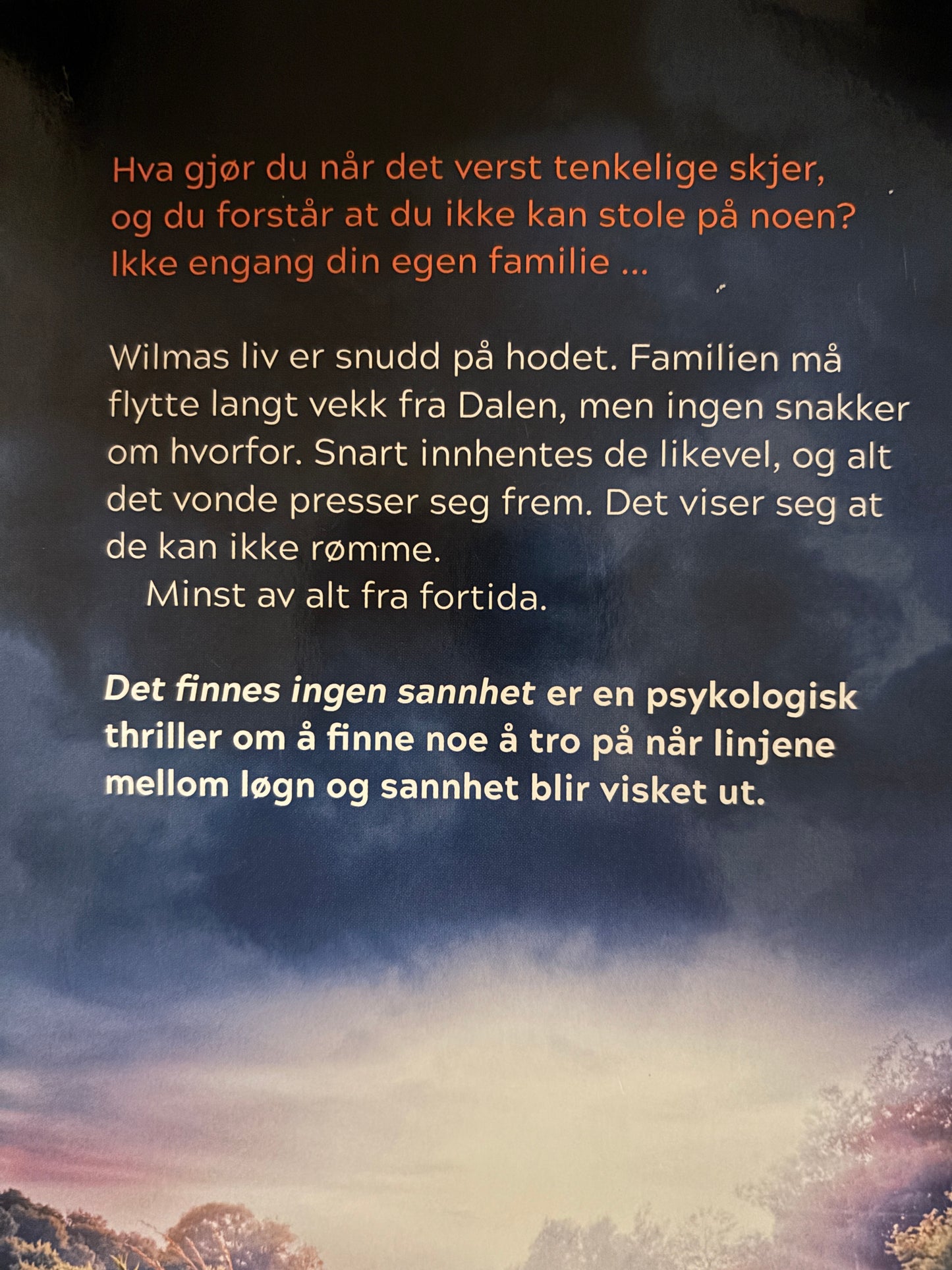 Nedrejord, Kathrine: Det finnes ingen sannhet