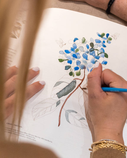 Watercolor Workbook: 30-Minute Beginner Projects | Akvarell Malebok for Voksne