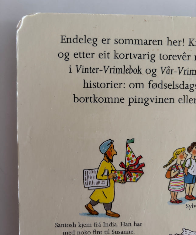 Berner, Rotraut Susanne: Sommar-vrimlebok
