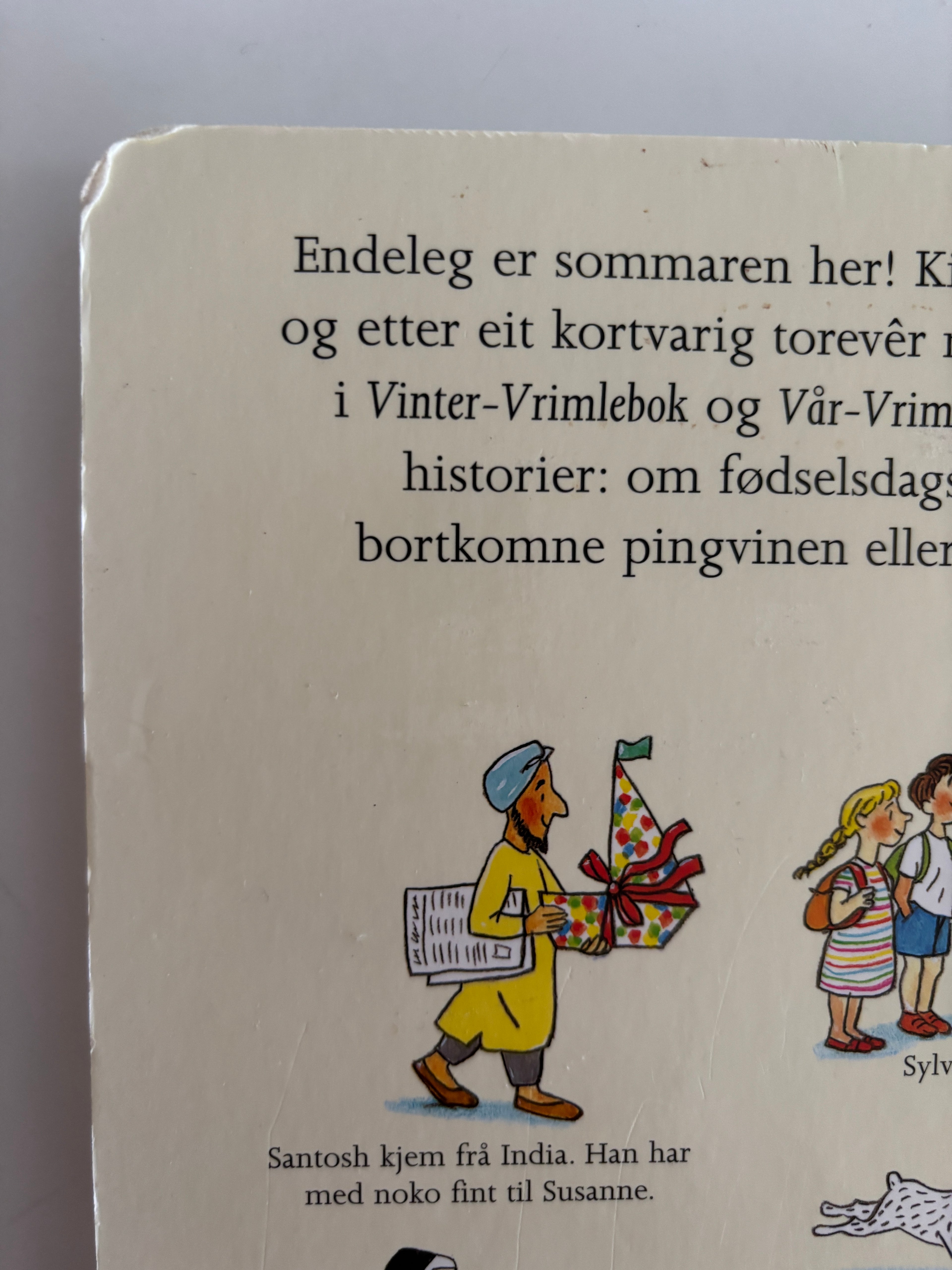 Berner, Rotraut Susanne: Sommar-vrimlebok