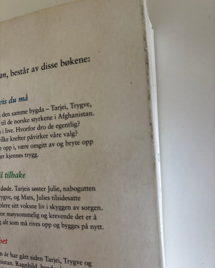 Bli hvis du kan - Helga Flatland (pocket)