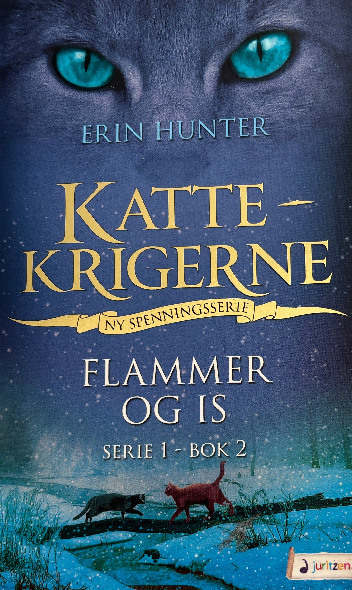 Hunter, Erin: Kattekrigerne: Flammer og is