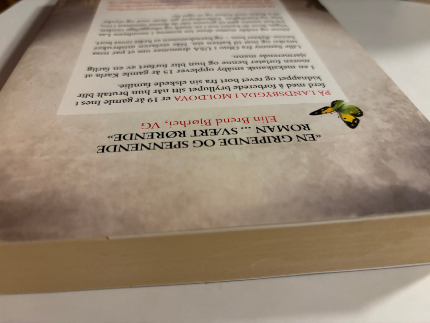 Samartin, Cecilia: Skjønnhet for aske