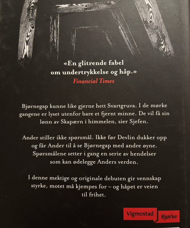 Hyder, Liz: Bjørnegap