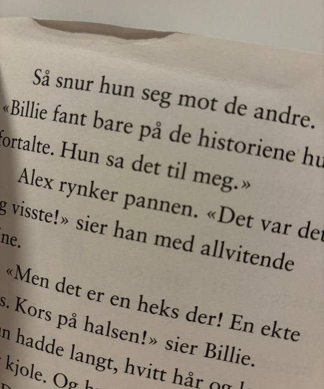 Rippin, Sally: Spøkelseshuset