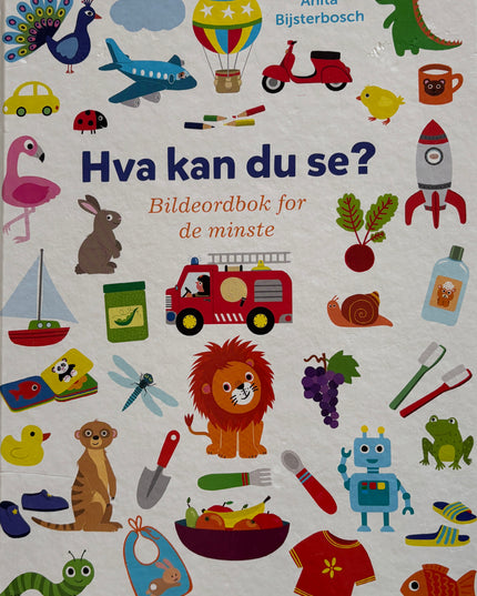 Bijsterbosch, Anita: Hva kan du se? Bildeordbok for de minste