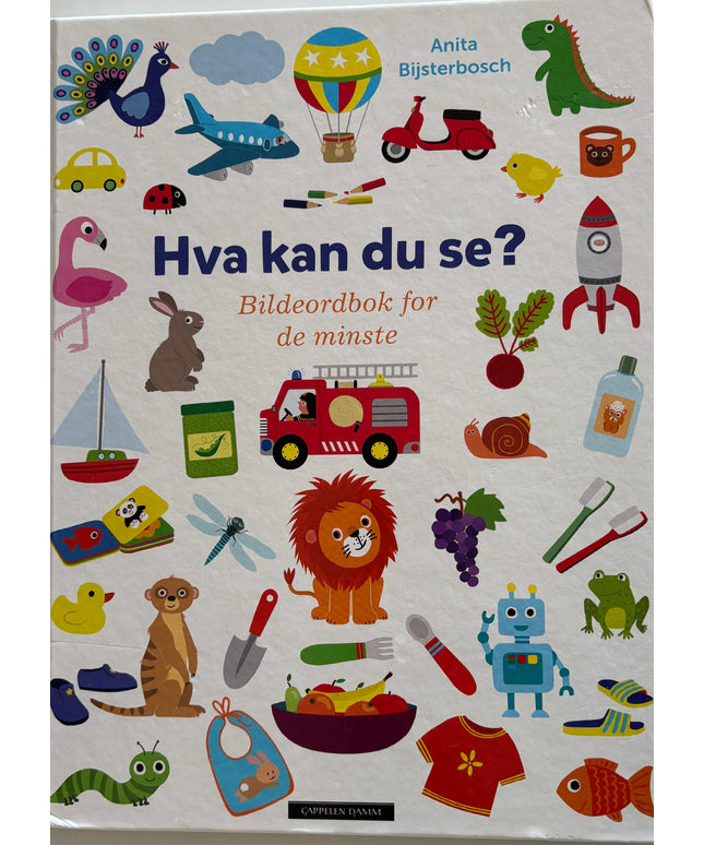 Bijsterbosch, Anita: Hva kan du se? Bildeordbok for de minste