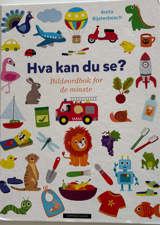 Bijsterbosch, Anita: Hva kan du se? Bildeordbok for de minste