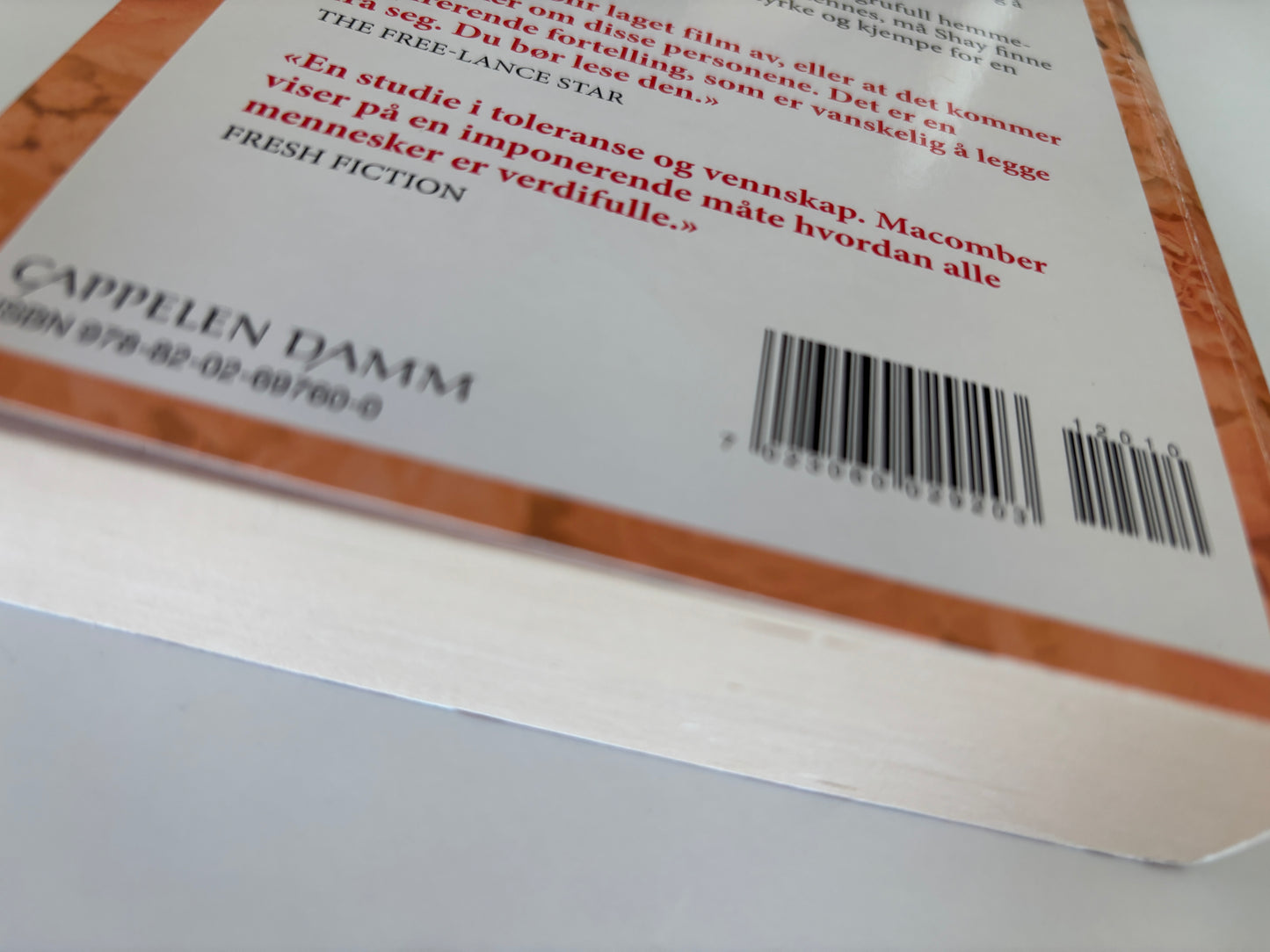Macomber, Debbie: En lysere fremtid
