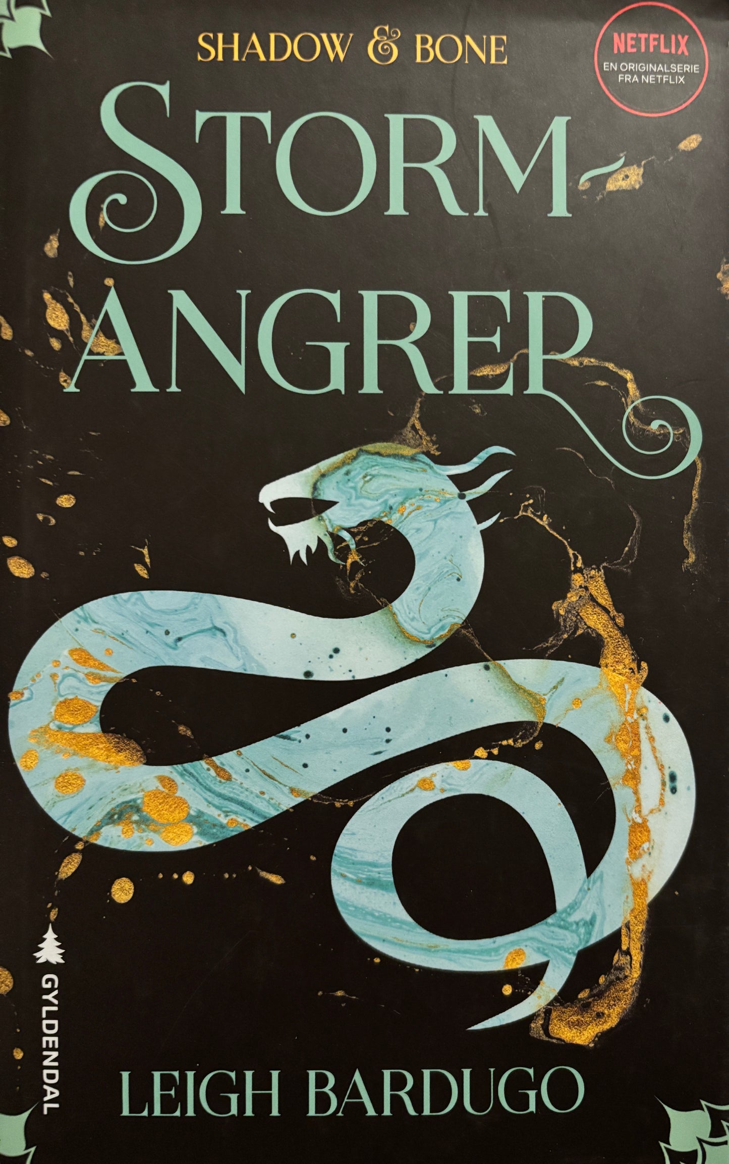 Bardugo, Leigh: Stormangrep - Shadow and bone