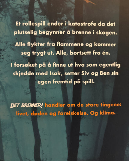 Vagstad, Sunniva: Det brenner!