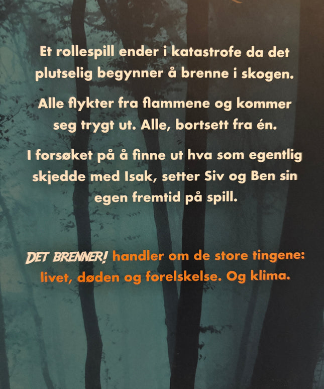 Vagstad, Sunniva: Det brenner!