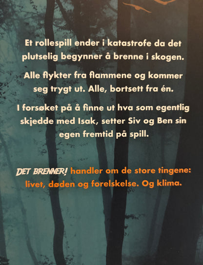 Vagstad, Sunniva: Det brenner!