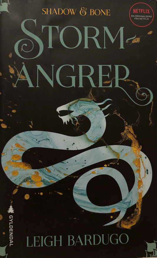 Bardugo, Leigh: Stormangrep - Shadow and bone