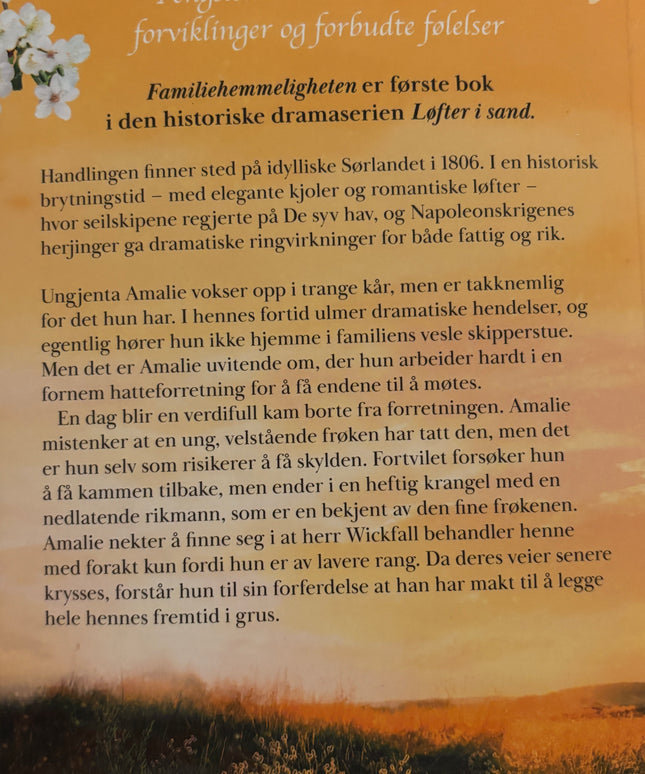 Hammer, Elisabeth: Løfter i sand - Familiehemmeligheten