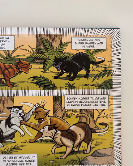 Hunter, Erin: Kattekrigerne: Knust idyll