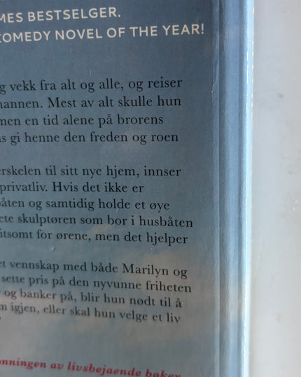 Matthews, Carole: Solskinn og havbris