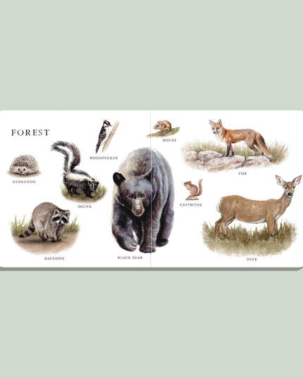 Our Big Book of Animals (Board Book)