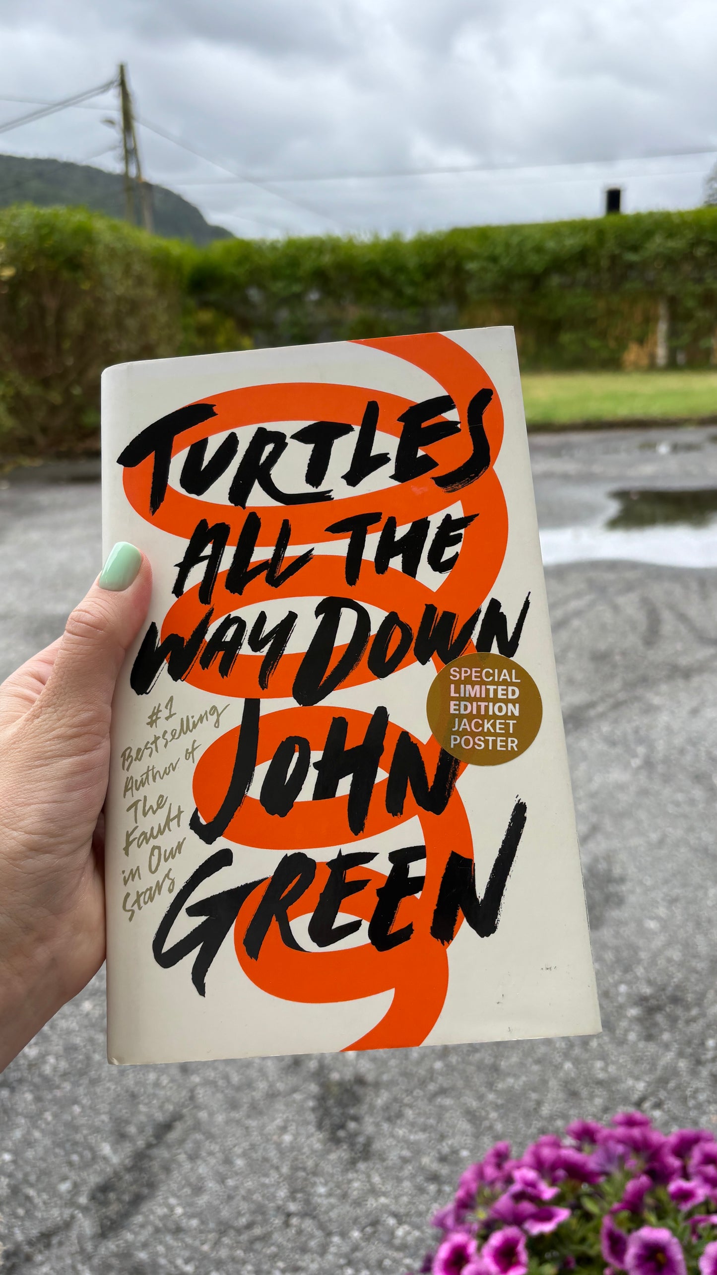 Green, John: Turtles all the way down