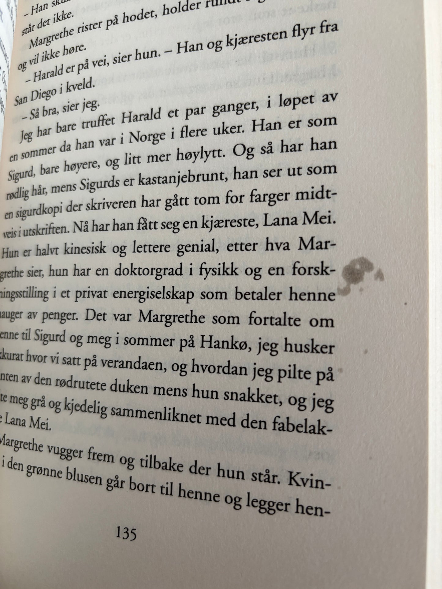 Flood, Helene: Terapauten