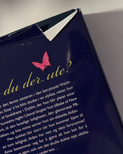 Keyes, Marian: Er du der ute?