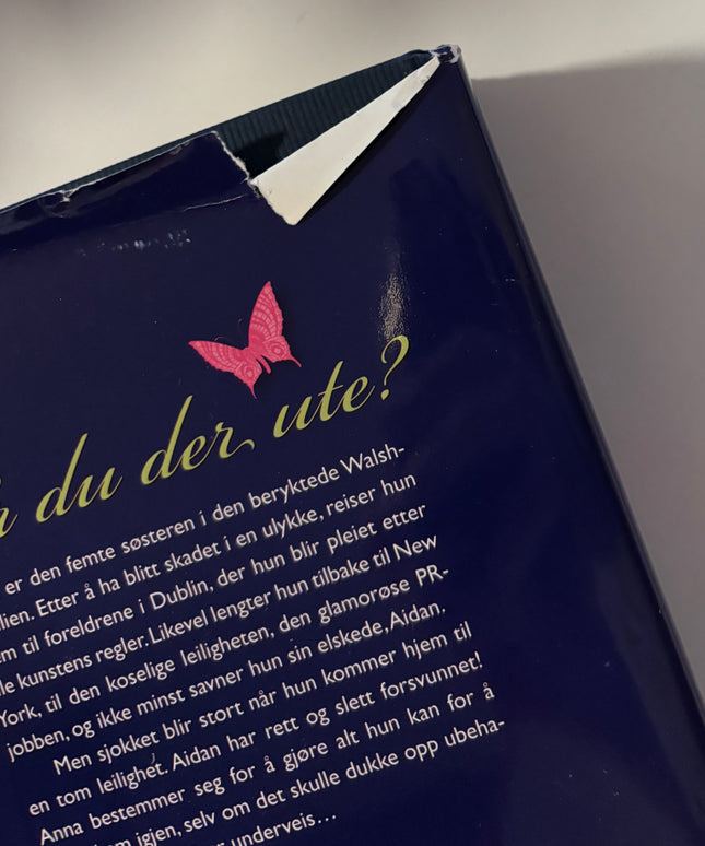 Keyes, Marian: Er du der ute?