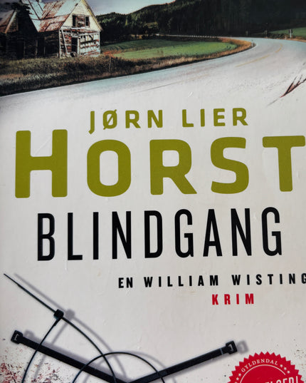 Blindgang - Jørn Lier Horst (pocket)