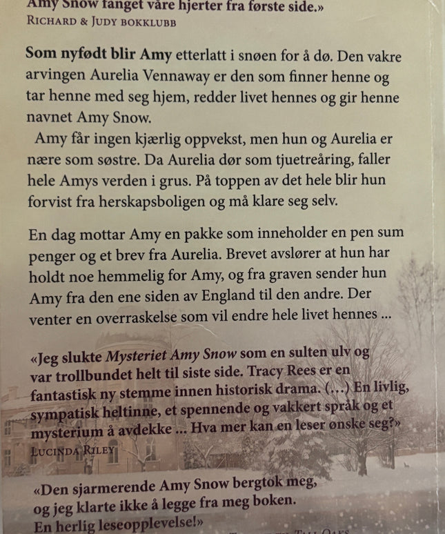 Rees, Tracy: Mysteriet Amy Snow