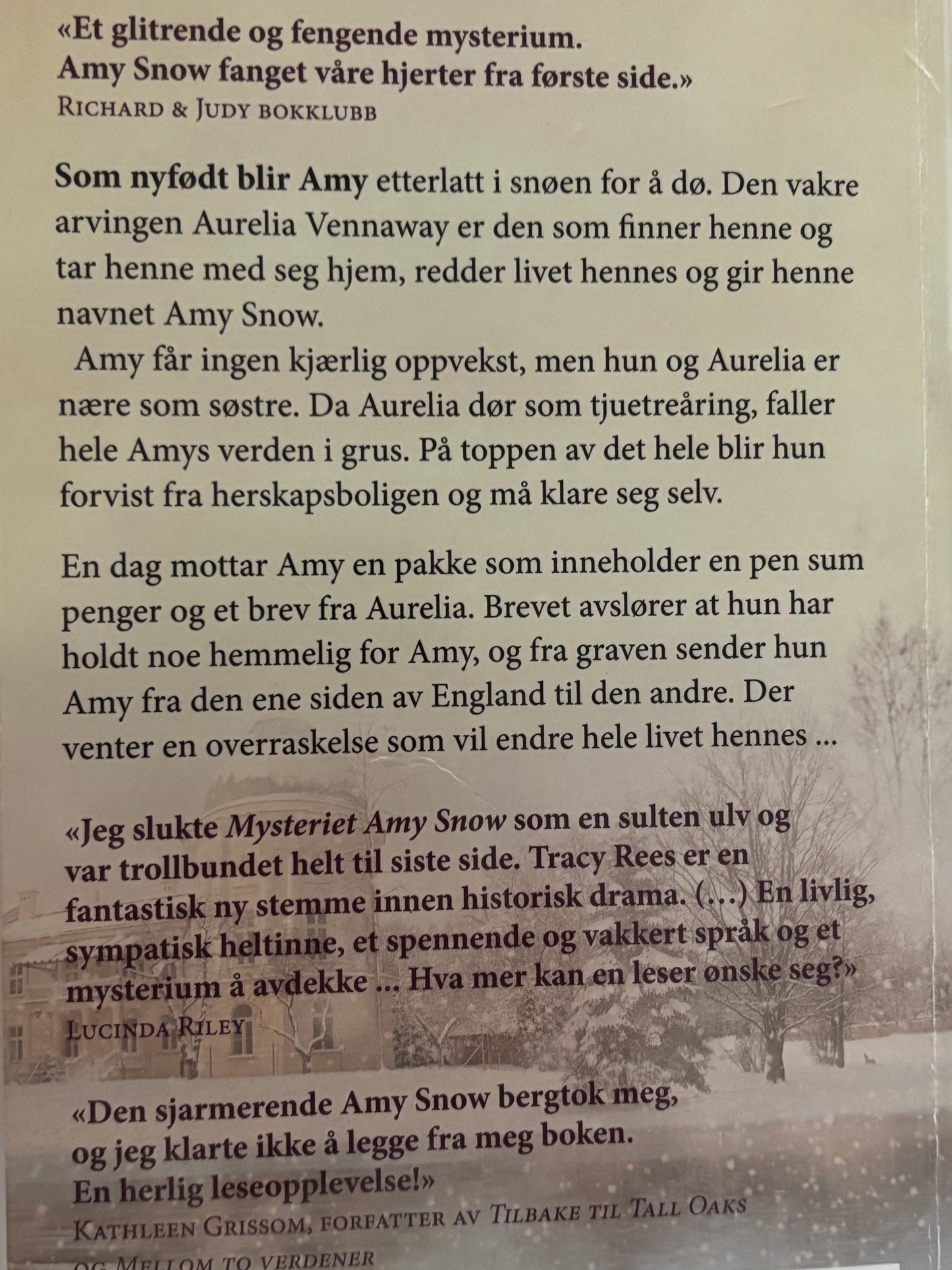 Rees, Tracy: Mysteriet Amy Snow