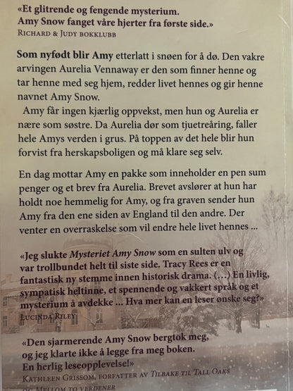 Rees, Tracy: Mysteriet Amy Snow