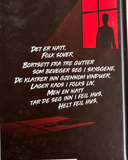 Svingen, Arne: I natt er vi usynlige
