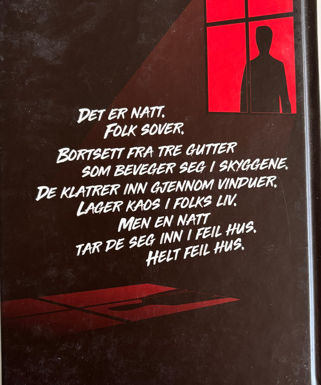 Svingen, Arne: I natt er vi usynlige