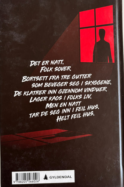 Svingen, Arne: I natt er vi usynlige