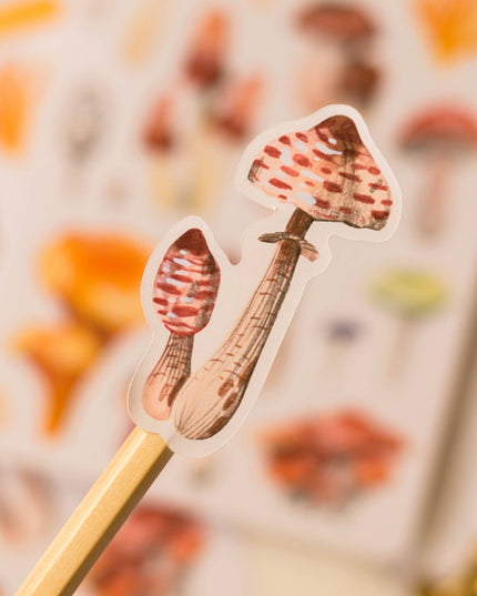 Klistremerkeark | Mushrooms
