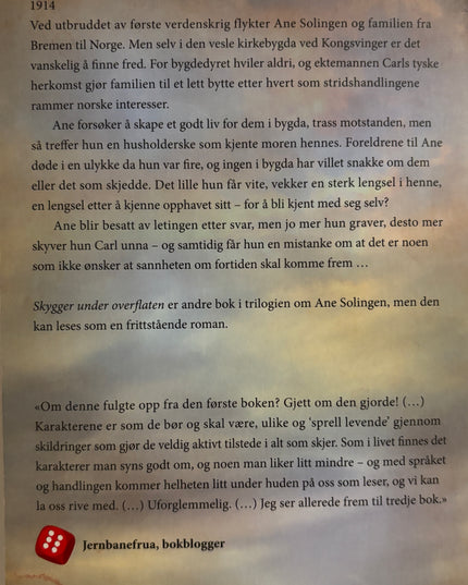 Brenden, Laila: Skygger under overflaten