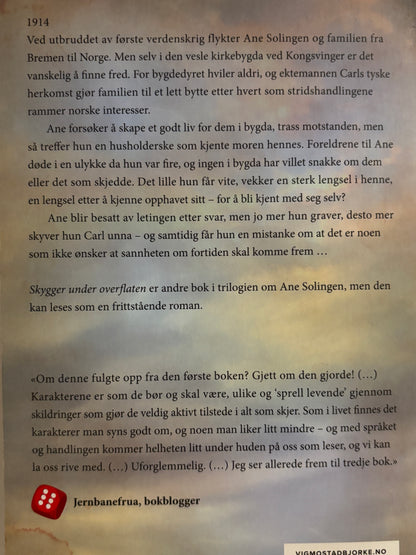 Brenden, Laila: Skygger under overflaten