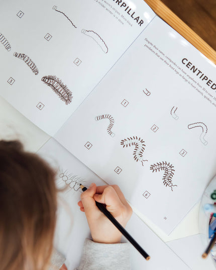 How to Draw Bugs for Kids | Lær å Tegne Bok for Barn