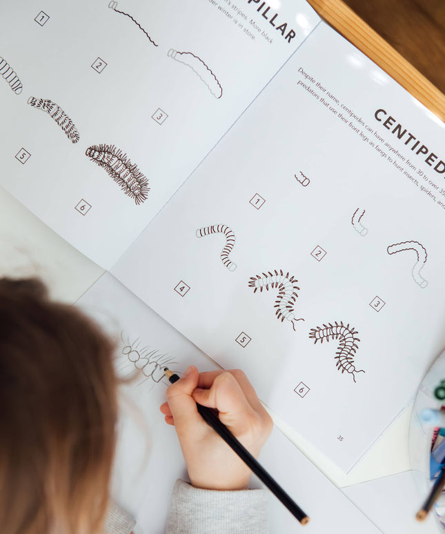 How to Draw Bugs for Kids | Lær å Tegne Bok for Barn