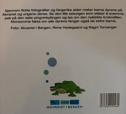 Dyrene på Akvariet