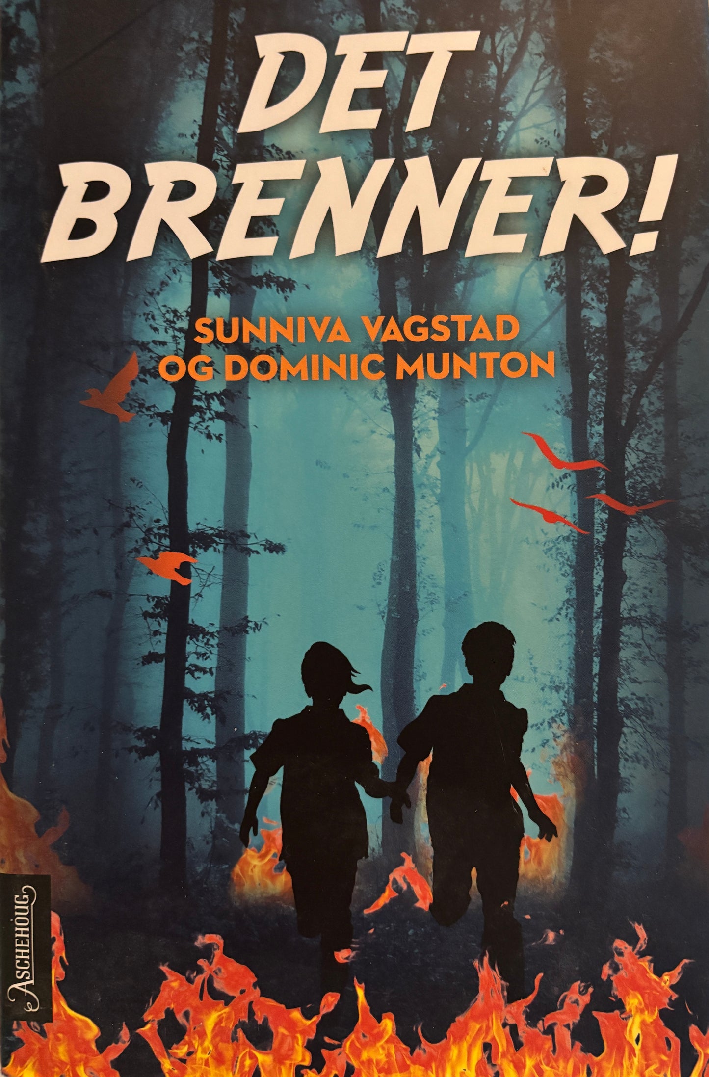 Vagstad, Sunniva: Det brenner!