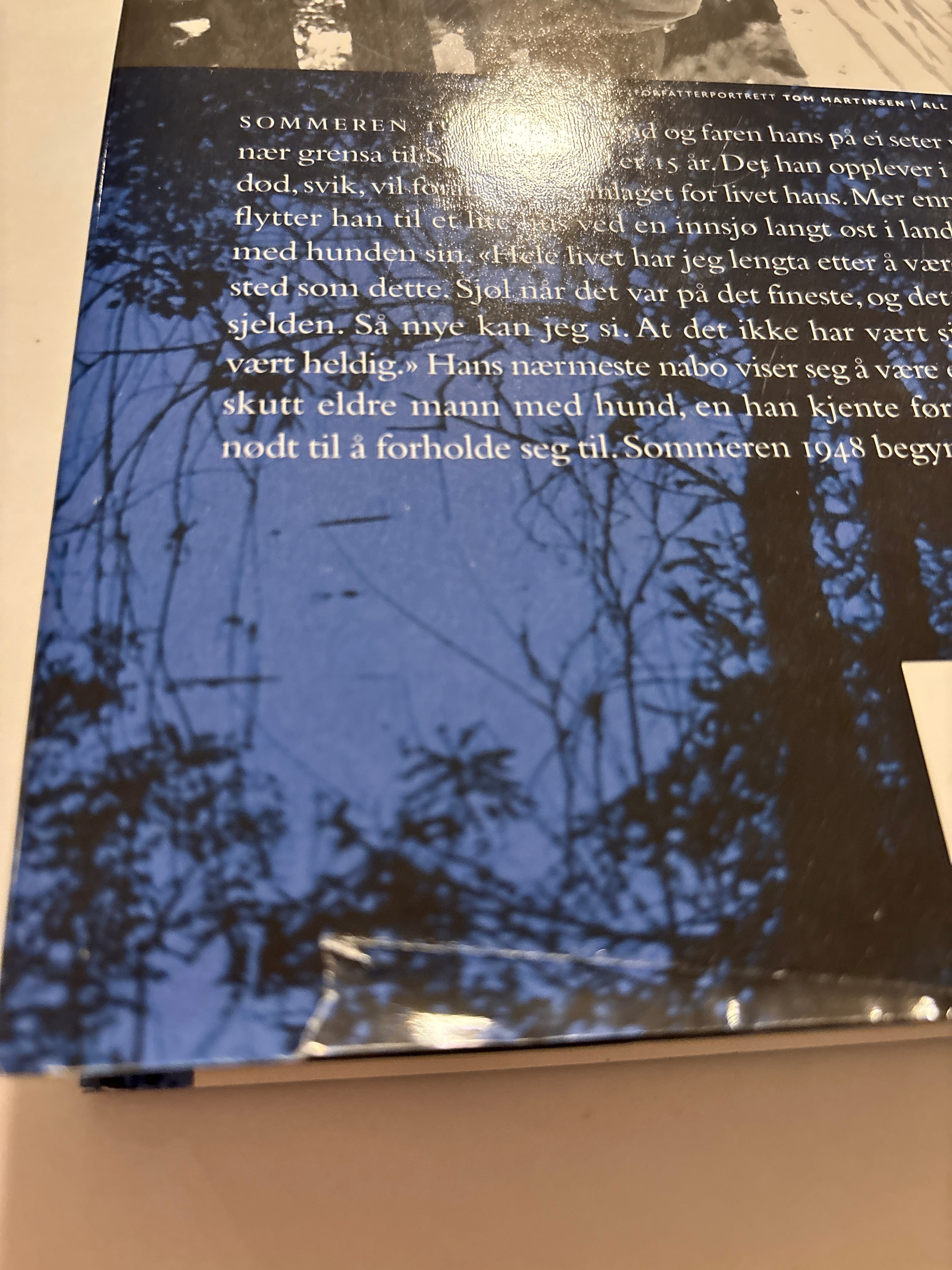 Petterson, Per: Ut og stjæle hester