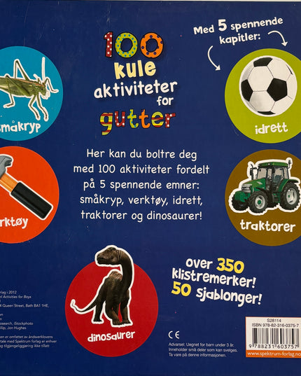 Brown, Renny: 100 kule aktiviteter for gutter