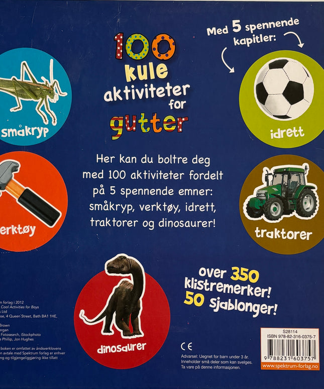 Brown, Renny: 100 kule aktiviteter for gutter