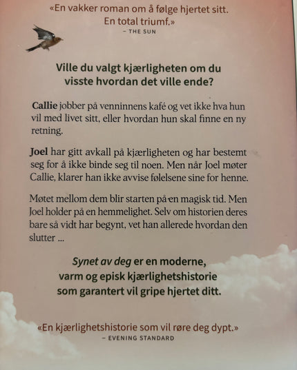 Miller, Holly: Synet av deg