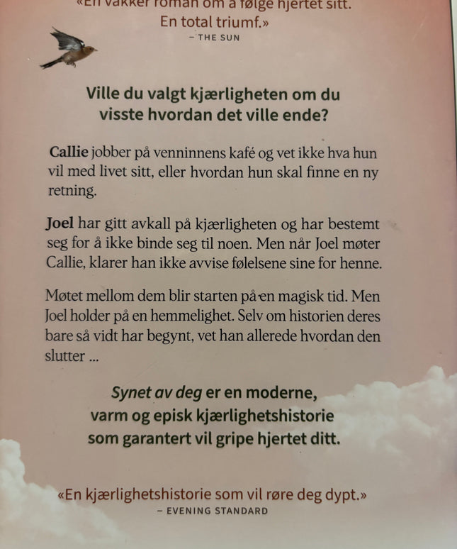 Miller, Holly: Synet av deg