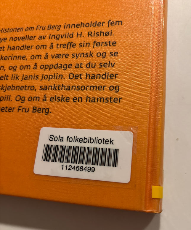 Rishøi, Ingvild: Historien om Fru Berg