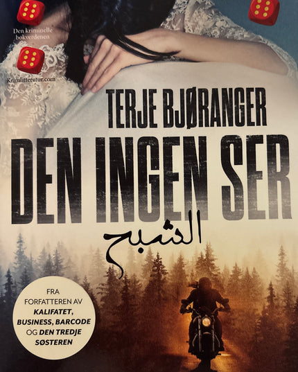 Terje Bjøranger - Den ingen ser (innbundet)